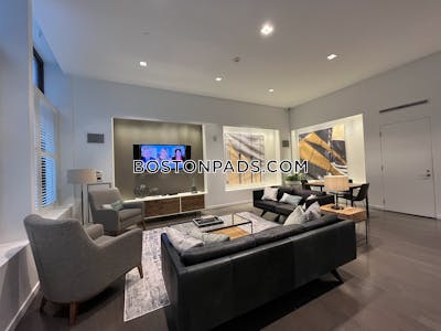 Downtown Apartment for rent 1 Bedroom 1 Bath Boston - $4,980 No Fee