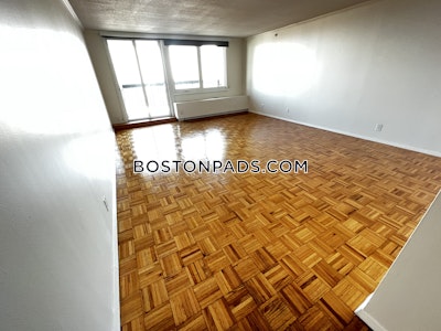 West End Apartment for rent 1 Bedroom 1 Bath Boston - $4,060