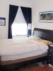 Brookline Apartment for rent 1 Bedroom 1 Bath  Washington Square - $2,495 No Fee
