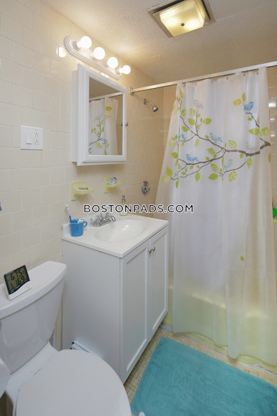 Allston 0 Bed 1 Bath BOSTON Boston - $1,950 No Fee