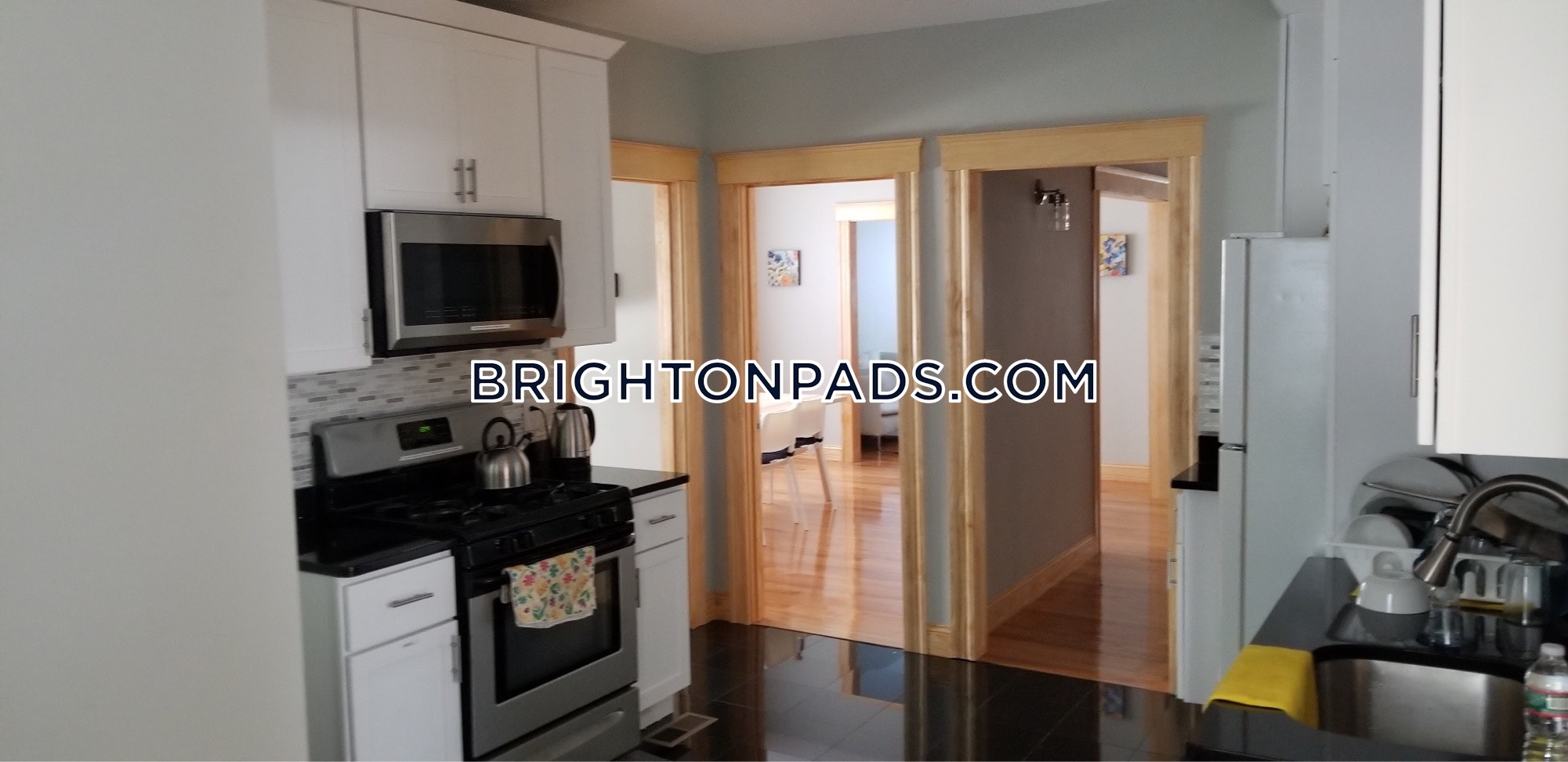 Brighton Apartment For Rent 5 Bedrooms 5 Baths Boston 7500 - 