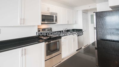 West End Apartment for rent 2 Bedrooms 2 Baths Boston - $5,020