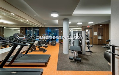 Cambridge Apartment for rent 3 Bedrooms 2 Baths  Alewife - $5,152 No Fee