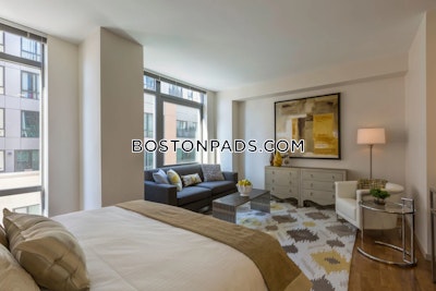 West End 2 bedroom  baths Luxury in BOSTON Boston - $6,020