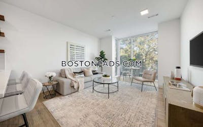 Brighton Apartment for rent 1 Bedroom 1 Bath Boston - $3,005