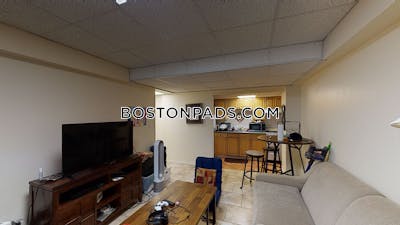 Allston Apartment for rent 1 Bedroom 1 Bath Boston - $2,195
