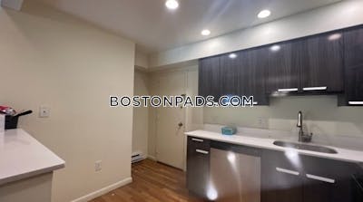 Brookline Apartment for rent Studio 1 Bath  Chestnut Hill - $2,500