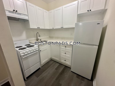 Jamaica Plain Apartment for rent 1 Bedroom 1 Bath Boston - $2,100 No Fee
